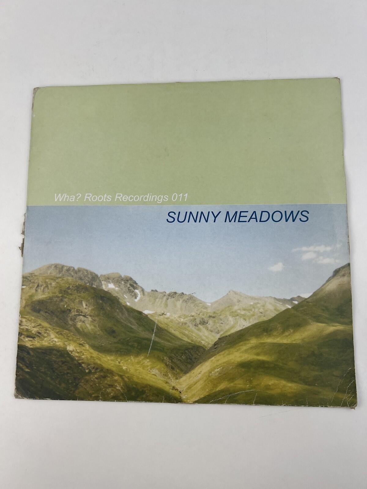 Sunny Meadows - Sunny Meadows (2001) | 12" Vinyl
