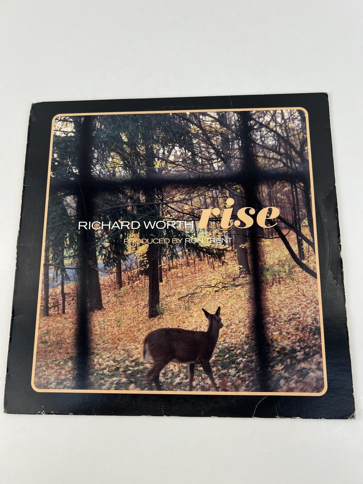 Richard Worth - Rise (2000) | 12" Vinyl
